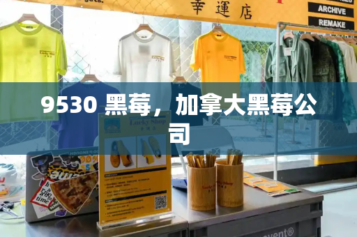 9530 黑莓，加拿大黑莓公司