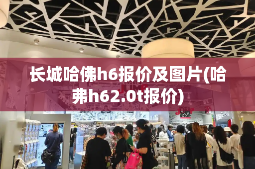 长城哈佛h6报价及图片(哈弗h62.0t报价)-第1张图片-星选测评