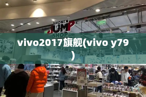 vivo2017旗舰(vivo y79)