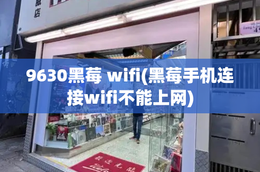 9630黑莓 wifi(黑莓手机连接wifi不能上网)-第1张图片-星选测评