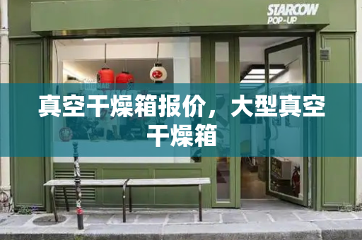 真空干燥箱报价，大型真空干燥箱