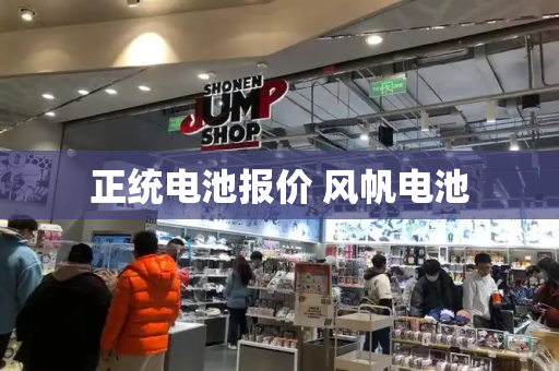 正统电池报价 风帆电池-第1张图片-星选测评