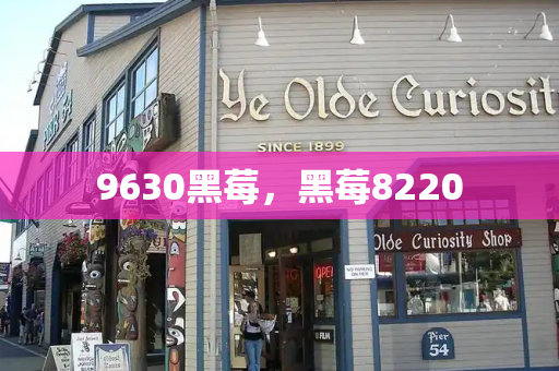 9630黑莓，黑莓8220-第1张图片-星选测评
