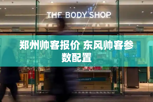 郑州帅客报价 东风帅客参数配置-第1张图片-星选测评