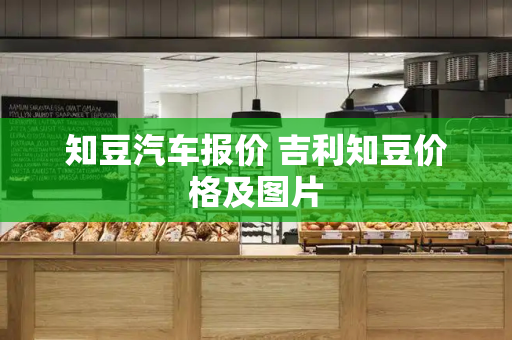 知豆汽车报价 吉利知豆价格及图片