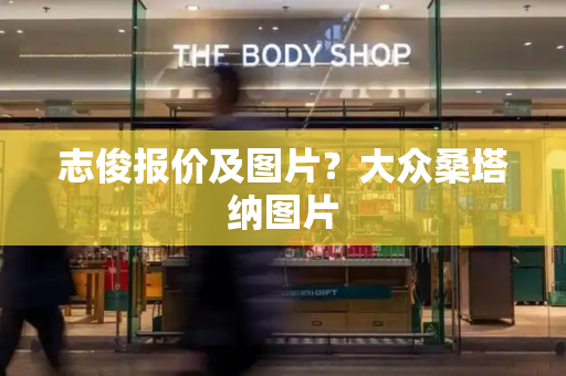 志俊报价及图片？大众桑塔纳图片-第1张图片-星选测评
