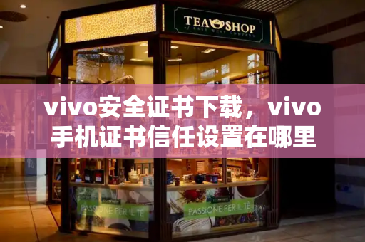 vivo安全证书下载，vivo手机证书信任设置在哪里