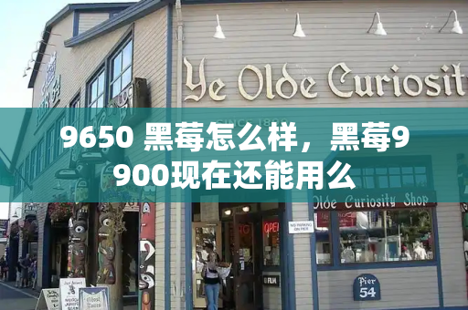 9650 黑莓怎么样，黑莓9900现在还能用么-第1张图片-星选测评