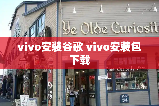 vivo安装谷歌 vivo安装包下载