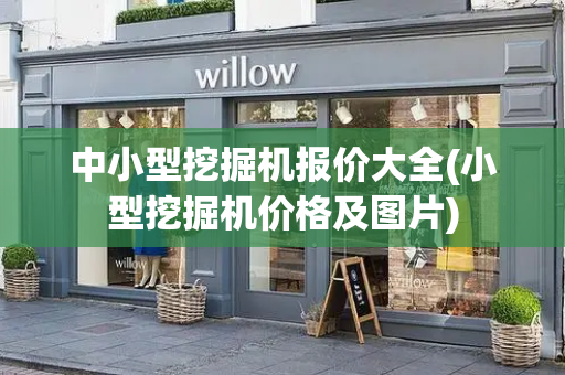中小型挖掘机报价大全(小型挖掘机价格及图片)