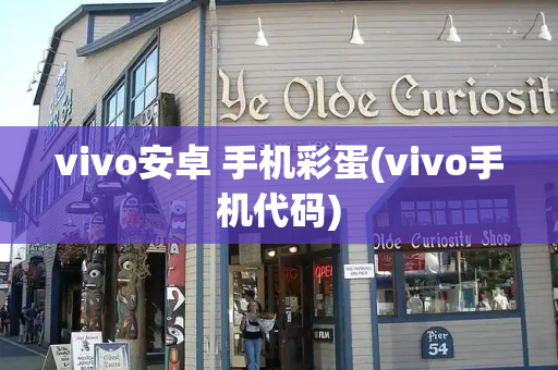 vivo安卓 手机彩蛋(vivo手机代码)