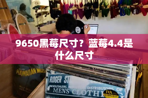 9650黑莓尺寸？蓝莓4.4是什么尺寸-第1张图片-星选测评