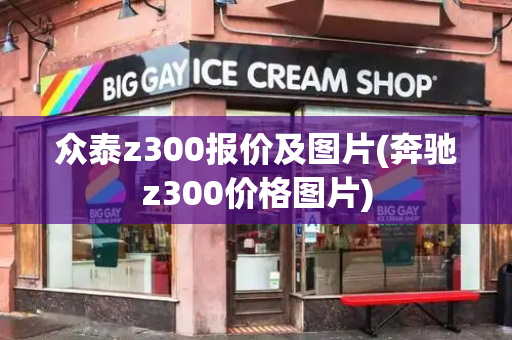 众泰z300报价及图片(奔驰z300价格图片)-第1张图片-星选测评