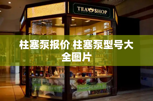 柱塞泵报价 柱塞泵型号大全图片-第1张图片-星选测评