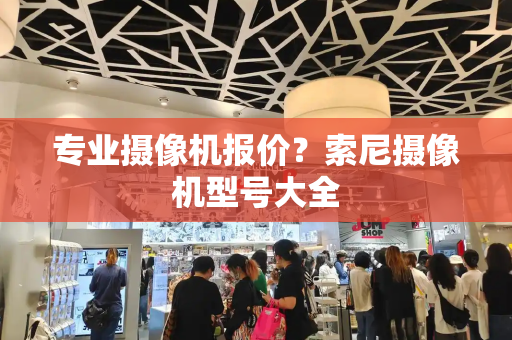 专业摄像机报价？索尼摄像机型号大全-第1张图片-星选测评
