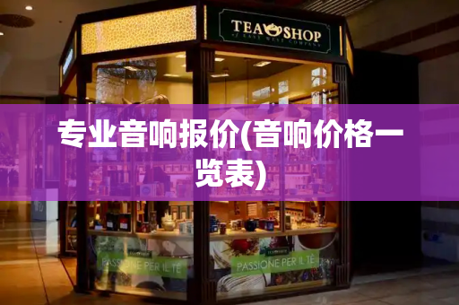 专业音响报价(音响价格一览表)