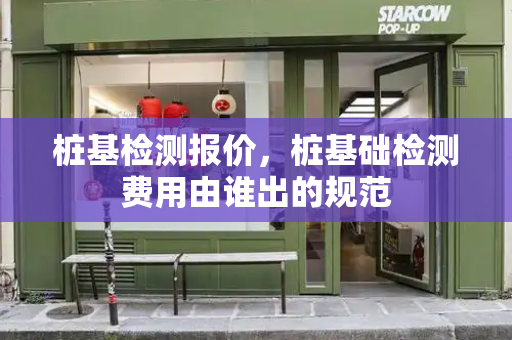 桩基检测报价，桩基础检测费用由谁出的规范