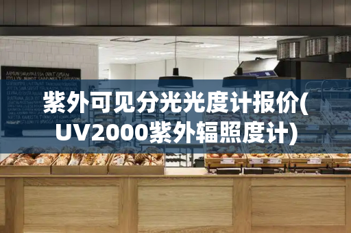 紫外可见分光光度计报价(UV2000紫外辐照度计)-第1张图片-星选测评