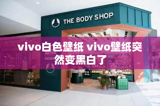 vivo白色壁纸 vivo壁纸突然变黑白了-第1张图片-星选测评