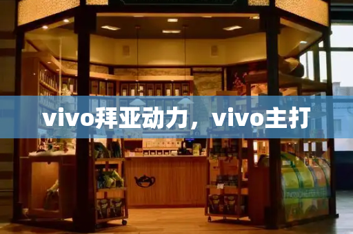 vivo拜亚动力，vivo主打
