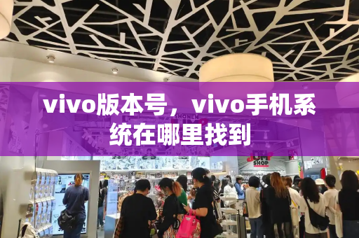 vivo版本号，vivo手机系统在哪里找到