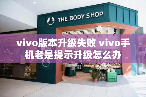 vivo版本升级失败 vivo手机老是提示升级怎么办
