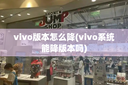vivo版本怎么降(vivo系统能降版本吗)-第1张图片-星选测评