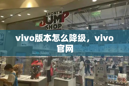 vivo版本怎么降级，vivo官网