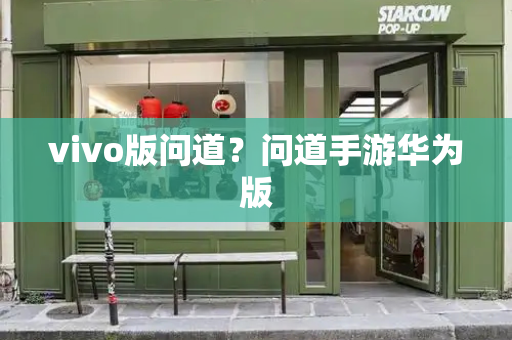vivo版问道？问道手游华为版