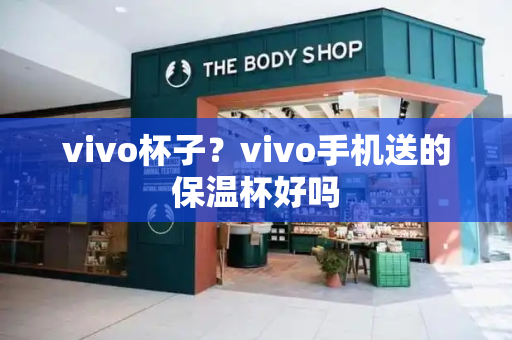 vivo杯子？vivo手机送的保温杯好吗-第1张图片-星选测评