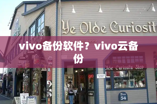 vivo备份软件？vivo云备份