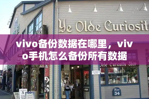 vivo备份数据在哪里，vivo手机怎么备份所有数据