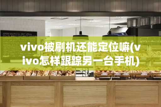 vivo被刷机还能定位嘛(vivo怎样跟踪另一台手机)