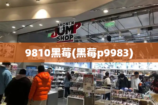 9810黑莓(黑莓p9983)-第1张图片-星选测评