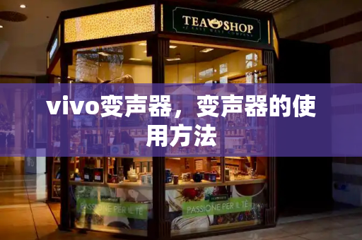 vivo变声器，变声器的使用方法