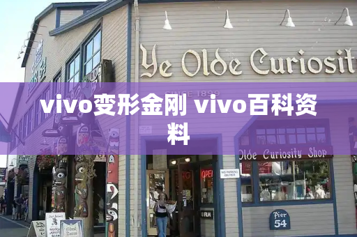 vivo变形金刚 vivo百科资料
