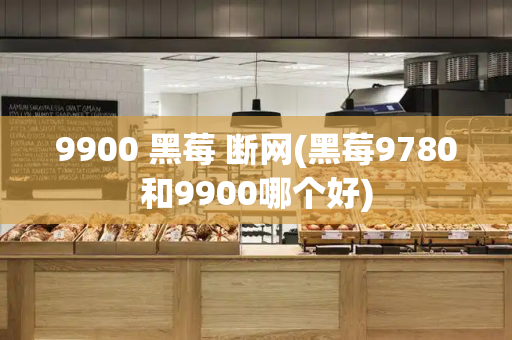 9900 黑莓 断网(黑莓9780和9900哪个好)-第1张图片-星选测评