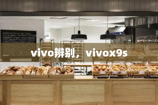 vivo辨别，vivox9s