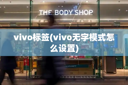 vivo标签(vivo无字模式怎么设置)-第1张图片-星选测评