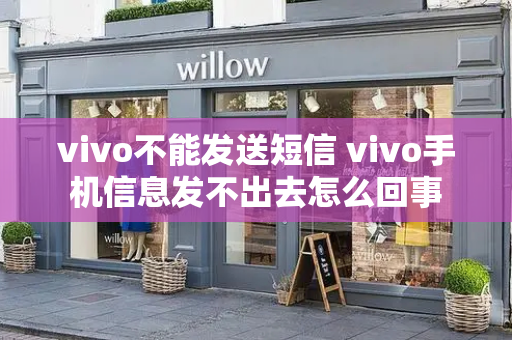 vivo不能发送短信 vivo手机信息发不出去怎么回事-第1张图片-星选测评
