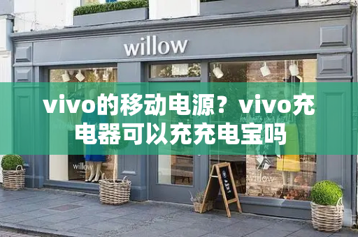 vivo的移动电源？vivo充电器可以充充电宝吗