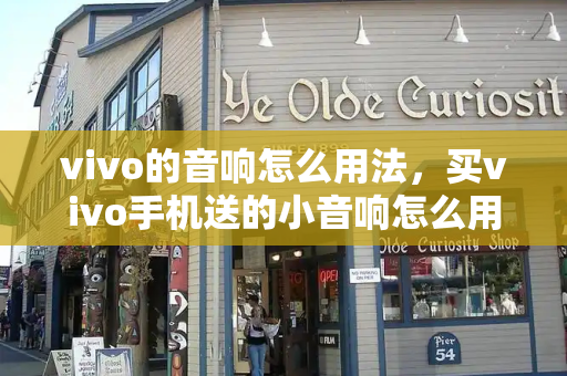 vivo的音响怎么用法，买vivo手机送的小音响怎么用-第1张图片-星选测评