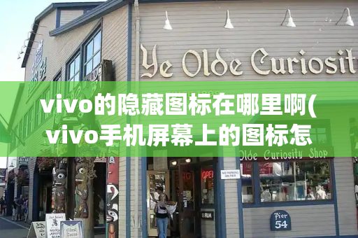 vivo的隐藏图标在哪里啊(vivo手机屏幕上的图标怎么样弄出来)