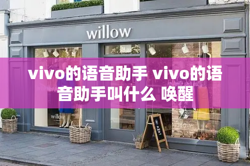vivo的语音助手 vivo的语音助手叫什么 唤醒-第1张图片-星选测评