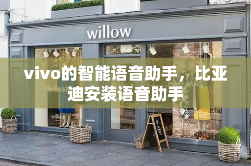 vivo的智能语音助手，比亚迪安装语音助手-第1张图片-星选测评