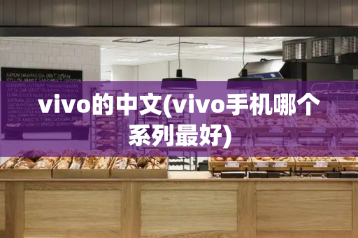 vivo的中文(vivo手机哪个系列最好)-第1张图片-星选测评