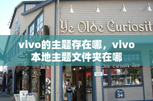 vivo的主题存在哪，vivo本地主题文件夹在哪