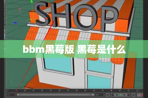 bbm黑莓版 黑莓是什么-第1张图片-星选测评
