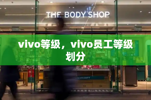 vivo等级，vivo员工等级划分