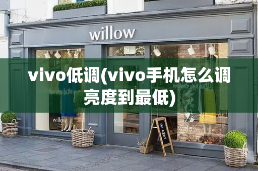 vivo低调(vivo手机怎么调亮度到最低)-第1张图片-星选测评